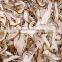 Delicious dried yellow boletus price