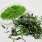 Wheat Grass Powder Sale On The Spot For The Whole Year