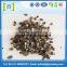 China vermiculite manufacturer and supplier