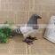 car or bedroom decoration ornaments feather Bird simulation