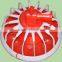 poultry equipment/water line/feed line