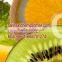 High quality Vitamin C( Ascorbic acid) 50-81-7