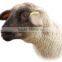 High Quality printable 125khz tk4100 rfid animal ear tag (Factory Price)
