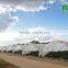 Tunnel 600 film cover low cost agricultural farming Galvanized Steel Frame green house easily assembled single or multi span
