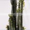 SJ3001015 Hot artificial cactus plant plastic cactus craft plant/indoor decorative cactus