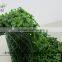 Artificial Boxwood Carpet ,green Wall Hedge Decoration