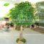 GNW BTR019 Real wood green cypress for party decoration