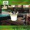Multi color changeing led plastic lighted ice cooler