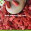 Factory Supply Dried Ningxia Goji