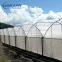 agriculture anti insect proof mesh for tunnel greenhouse