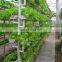 Low Price Garden Greenhouse/Agricultural Greenhouse Tube Hydroponic Growing Systems