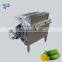 Fully automatic air bubble vegetable washing machine