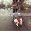 New technology transparent pet umbrella dog leash