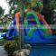 cool double inflatable dolphin water slides and jumpers