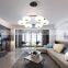 Home hotel decor pendant lamp