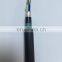 24 cores Underground SM FOC OS2 Direct Buried Fiber Optic Cable GYTA53
