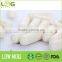 Chinese Marine Fish Pure Collagen Capsule