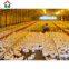 China prefabricated automatic chicken house for 50000 layers birds