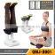 Home Use Ozone Shoe Dryer (45W)