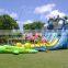 hot water park dolphin water slide with water pool