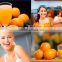 2015 China New Product fresh lemon squeezer fruit juice extracting machines commercial orange juicer machine
