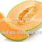 cantaloupe No.1 Chinese round shape melon seeds for sale