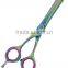 SALON PROFESSIONAL 6inch Hair Thinning Scissors