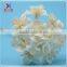 Most Popular Decorative Natural White Dried Flower wooden Sticks Wholesale with cheap price