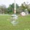 Hanging Glass Terrarium