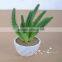 Real look artificial succulents cactus bonsai plant mini potted plant for sale