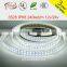 2016 NEW STRIP Smd3528 Ip20 240led/m Strip ww cw Indoor Strip Double Line