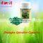 Zhongke Spirulina Capsule , buyers of organic spirulina powder
