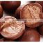 Wonderful hazelnut chocolate with gold ball