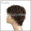 100% human hair short spring curl lace front wig mixed flaxen color Brazilian human hair wig at factory wholesale price