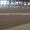 wenge sandstone; wood veins sandstones