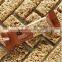 China Automatic Healthy Grain Oat Barley Cereal Bar Equipment