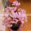 Wholesale natural rose quartz crystal tree