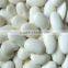 We are supply Large white kidney beans with best price for sale