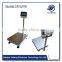 Anti corrosion Bench Scale 100kg Weighing Scales Price 100kg 150kg 200kg electronic platform weighing scale with Silvery color