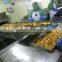 Frozen Fried Chicken Meat Nuggets