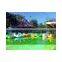 CE high quality amusement park black swan attraction child bumper boat