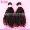 Grade 8A unprocessed virgin indian hair high quality indian remy hair weave wholesale indian hair weave