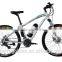 Good Price Mid Motor E-bike 250w Brushless With Lithium Battery