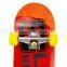 High End Quality 31" Maple Skateboards Complete,double Kick Tail Skateboards