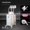 Increasing Muscle Tone Best Price Cryolipolysis 50 / 60Hz Cryo Beauty Machine Cryo Fat Freezing Machine