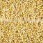 Foxtail Millet from India