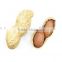 top grade peanut for selling and from direct factory with best quality