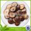 new crop preserved shiitak quarter mushroom in brine