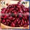 Chinese Red Kidney Bean Super March Purchasing