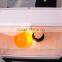 Family use chicken brooder for sale,poultry brooder made in china